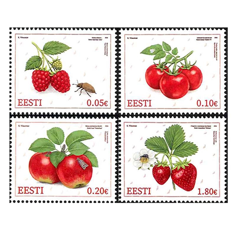 �����ȥ˥����֤��ե롼��(4)