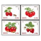 �����ȥ˥����֤��ե롼��(4)