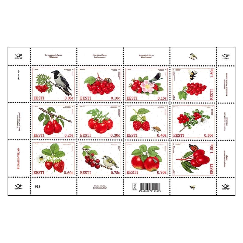 �����ȥ˥����֤��ե롼��M/S(1)