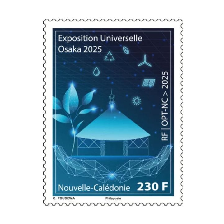 �˥塼����ɥ˥���2025��塦�������� (1)