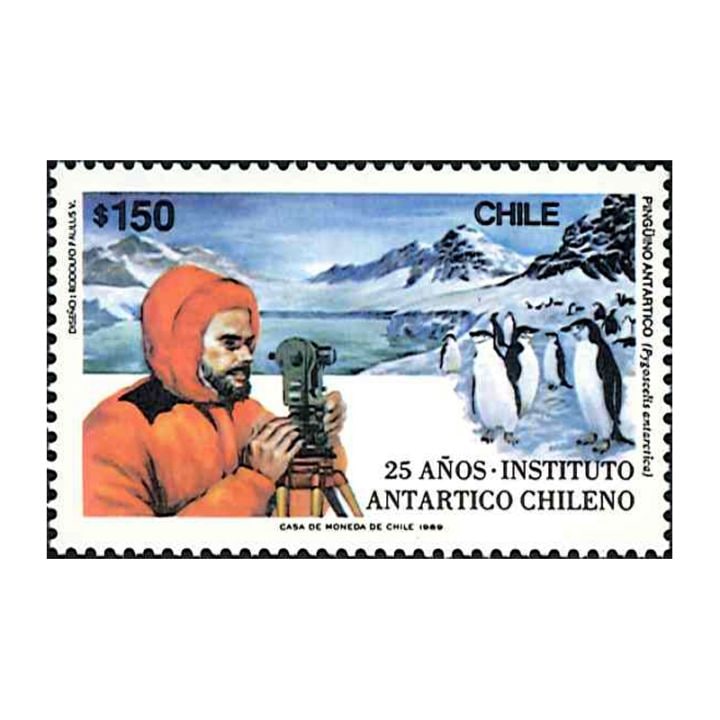 ���ꡧ����Ĵ���������25ǯ(1)