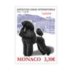 ��ʥ�����ݥɥå����硼2026(1)