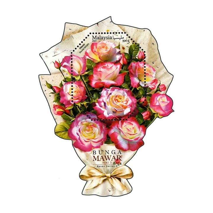 �ޥ졼�������Х�S/S(1)