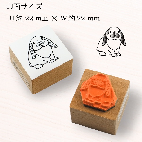 リアルかわいいうさぎ*ホーランドロップ 【スタンプ スタンダード】