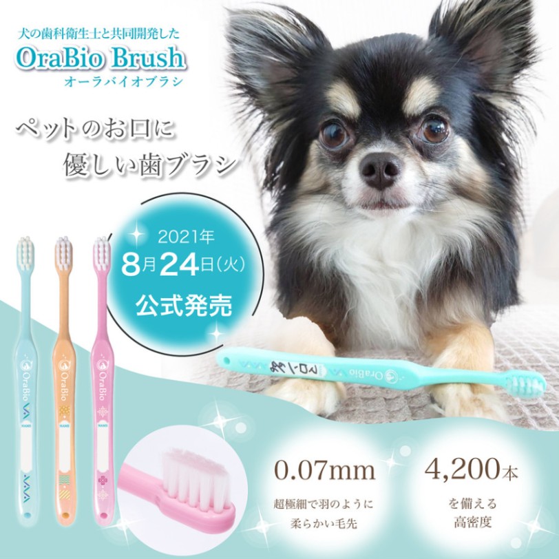 Pure Rupishel オーラルケア オーラバイオブラシ （歯科衛生士推奨） はみがき ケア用品