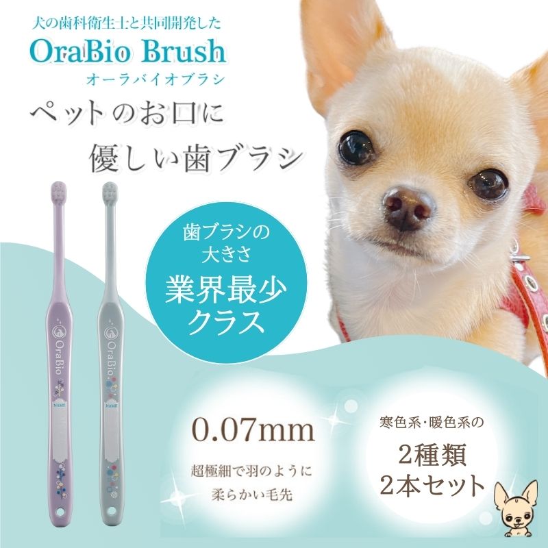 オーラバイオブラシ MINI ラベンダーセット（歯科衛生士推奨