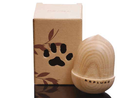 ޤϤTAMAGOHANREPLUS  ΰ餪