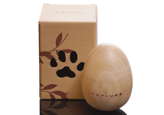 ޤϤTAMAGOHANREPLUS  ΰ餪