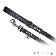 Хǥ٥ȡBUDDY BELTS)  ֥åPremium