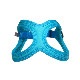 Хǥ٥ȡBUDDY BELTS)  󥰥եå㡼ʥ֥롼ˡBBݡ