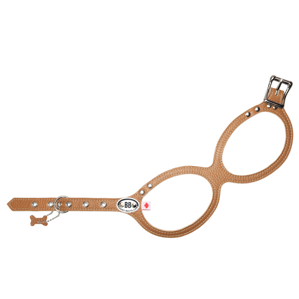 Хǥ٥ȡBUDDY BELTS)  롿Premium