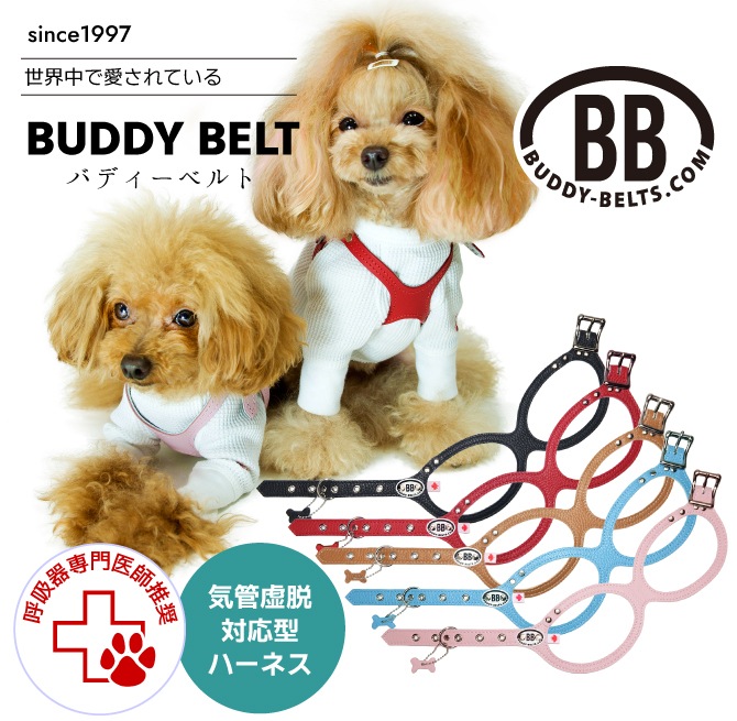 Хǥ٥ȡBUDDY BELTS)  롿Premium