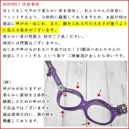 Хǥ٥ȡBUDDY BELTS)  롿Premium