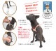 Хǥ٥ȡBUDDY BELTS)  롿Premium