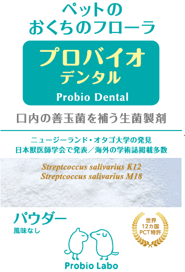�ץ��Х����ǥ󥿥롡ʴ��������14g����°���ס����դ�����̣�ʤ��������⥵�ץ���ȡ��ץ�ߥ��⡼��