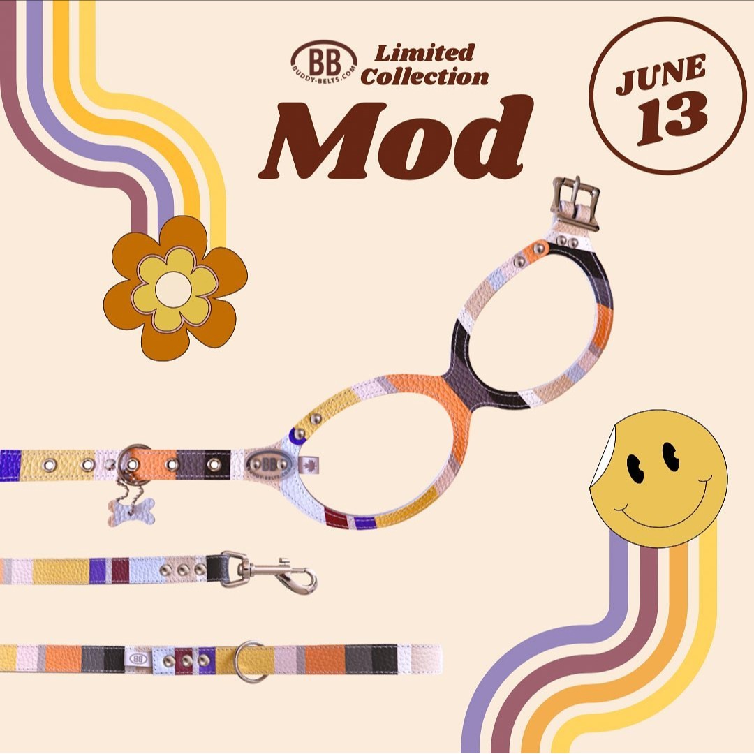 Хǥ٥ȡBUDDY BELTS)  åɡElite