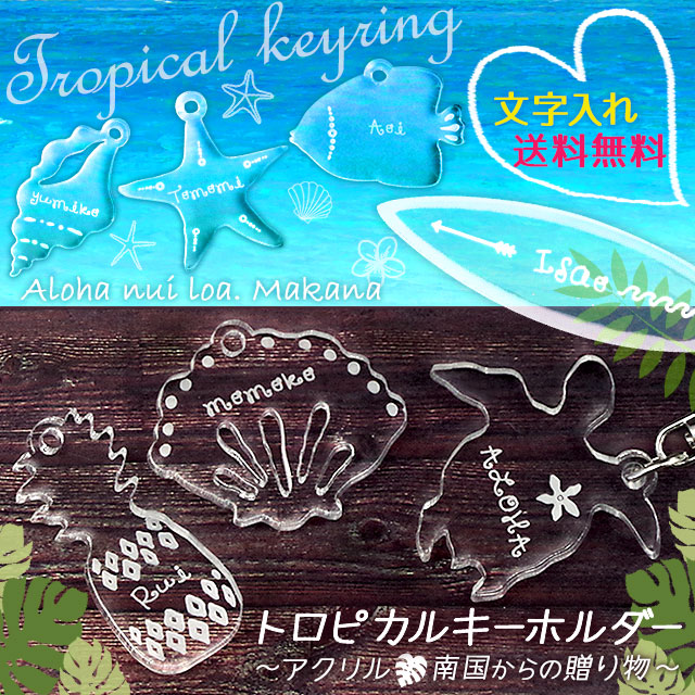 ̵̵̾ۡ  ȥԥ륭ۥ ʸ Ħ ե ̾ ץ쥼 ̾ ۥ ϥ磻   ե ۥ