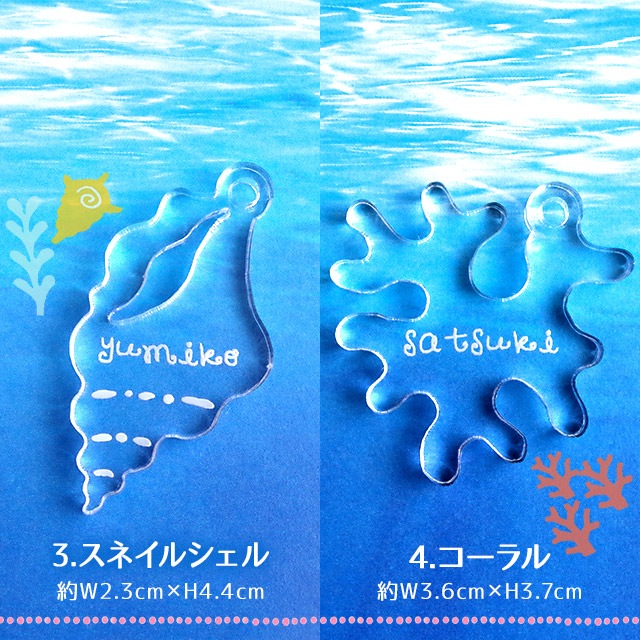 ̵̵̾ۡ  ȥԥ륭ۥ ʸ Ħ ե ̾ ץ쥼 ̾ ۥ ϥ磻   ե ۥ