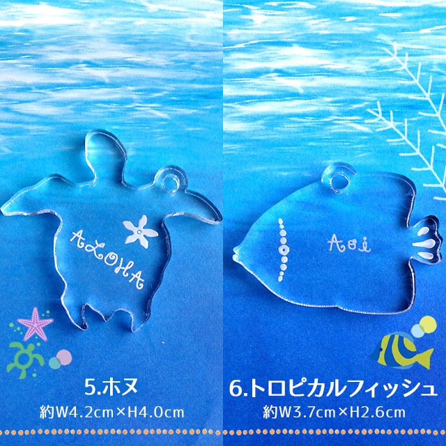 ̵̵̾ۡ  ȥԥ륭ۥ ʸ Ħ ե ̾ ץ쥼 ̾ ۥ ϥ磻   ե ۥ