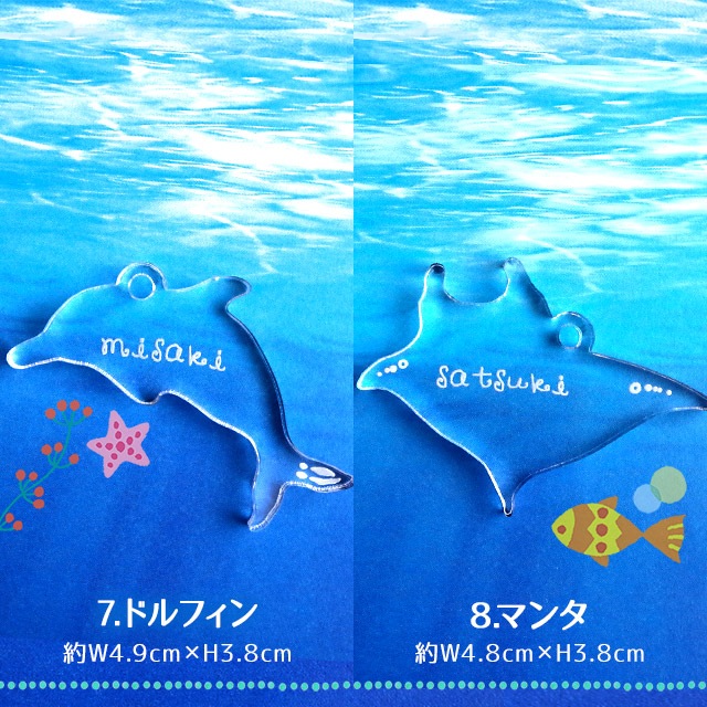 ̵̵̾ۡ  ȥԥ륭ۥ ʸ Ħ ե ̾ ץ쥼 ̾ ۥ ϥ磻   ե ۥ