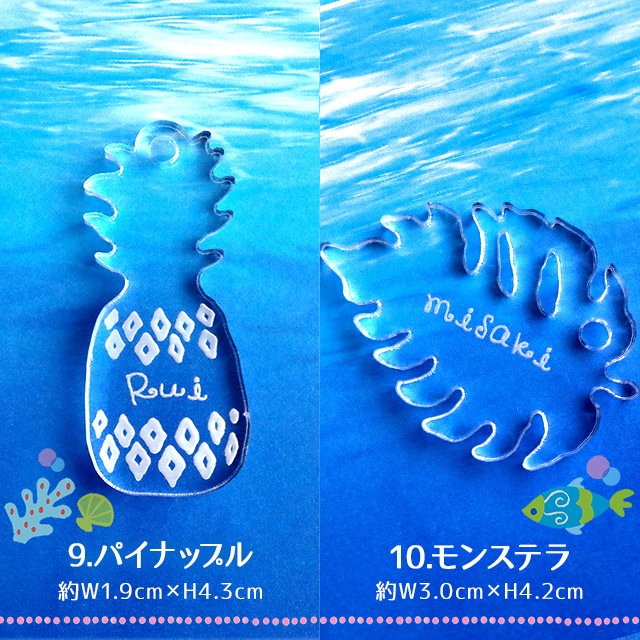 ̵̵̾ۡ  ȥԥ륭ۥ ʸ Ħ ե ̾ ץ쥼 ̾ ۥ ϥ磻   ե ۥ