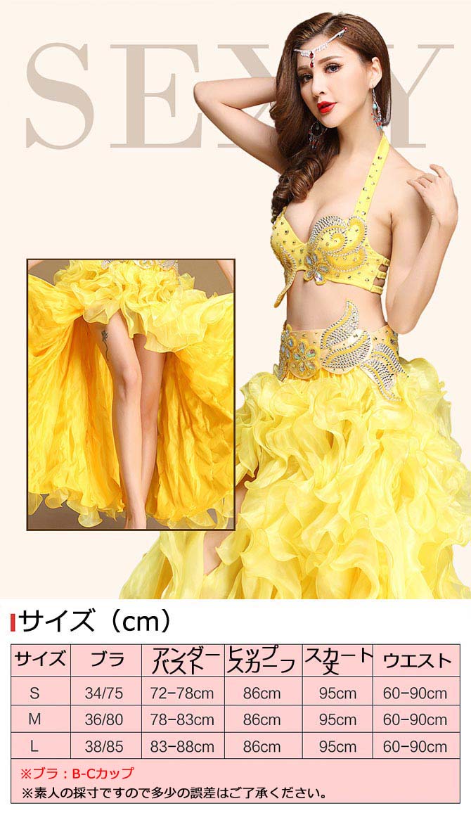 しょっちゃん様社交ダンスベリーダンスゴールド&パープル