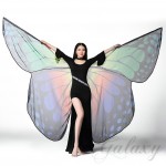 ���� �Х����ե饤 BUTTERFLY ���ե��� ĳ�� ��� ���� ���٥��  ���������꡼ ƻ�� ���󥹰��� ry600087(ry600087)