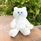 umao | しろねこ ぬいぐるみ