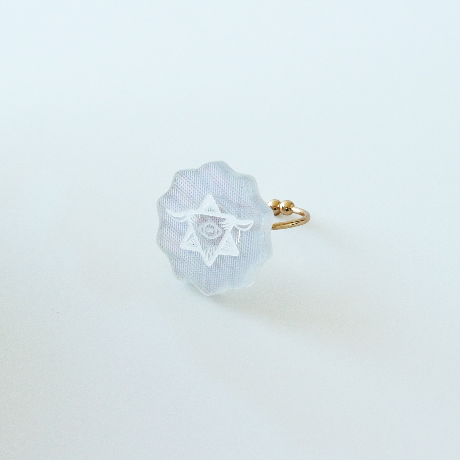 市原えつこ｜ヤギ教団 信者リング