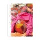展覧会カタログ（通常版） | アナザーエナジー展　　　Another Energy: Power to Continue Challenging - 16 Women Artists from around the World