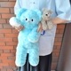 umao | くまちゃん ぬいぐるみ