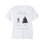 公式] スター・ウォーズ セレブレーション 先行商品 ルーク・スカイ