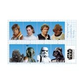 ☆2025東京コミコン先行商品 [公式] STARWARS EP4 証明写真風