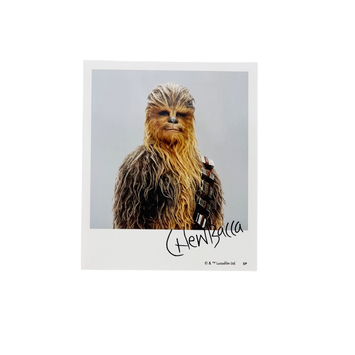 ★2025東京コミコン先行商品　[公式]  STARWARS ランダムブラインドブロマイド ワイド2 全８種（セット）