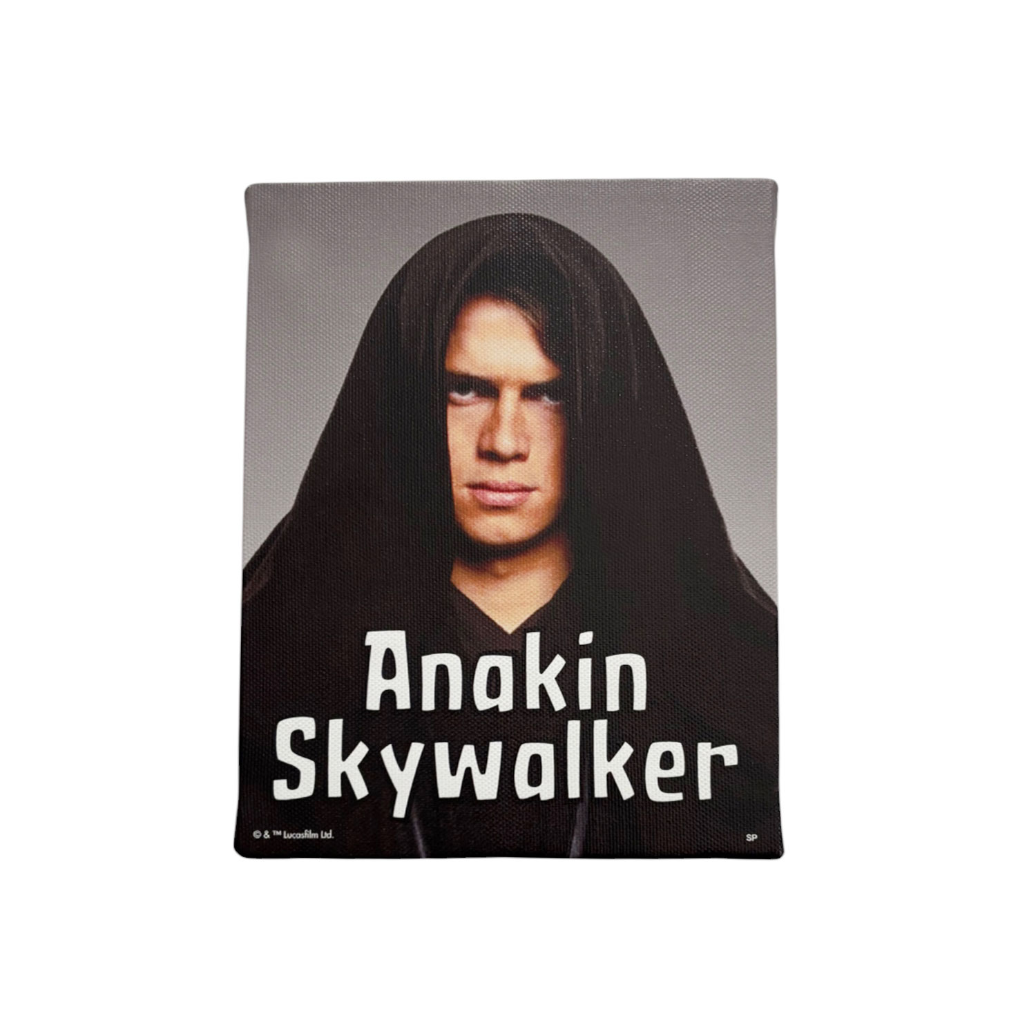 [公式]  スター・ウォーズ セレブレーション 先行商品　アートパネル Ｆ０　アナキン・スカイウォーカー ピクチャーシリーズ