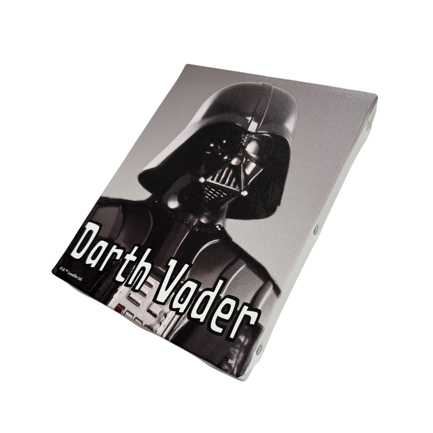 [公式]  スター・ウォーズ セレブレーション 先行商品　ダース・ベイダー ピクチャーシリーズ　アートパネル 　Ｆ０