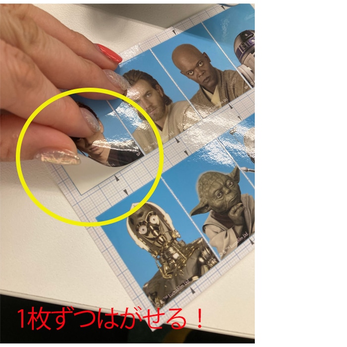公式] スター・ウォーズ 証明写真風ステッカー Episode.1