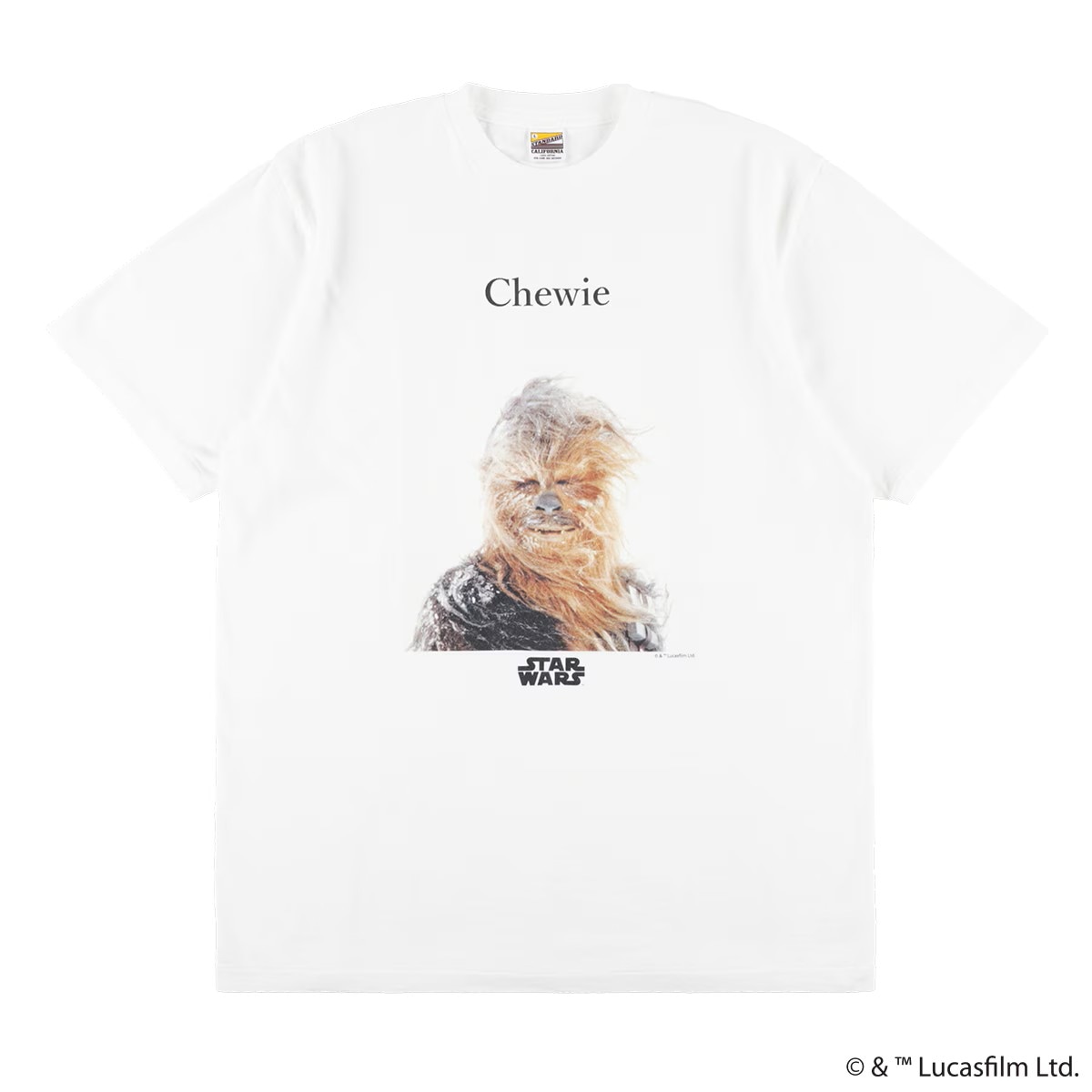 STANDARD CALIFORNIA,Tシャツ | STEADY AND SHAFT