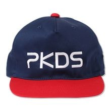 ��ͽ��4�����١�PKDS.CAP