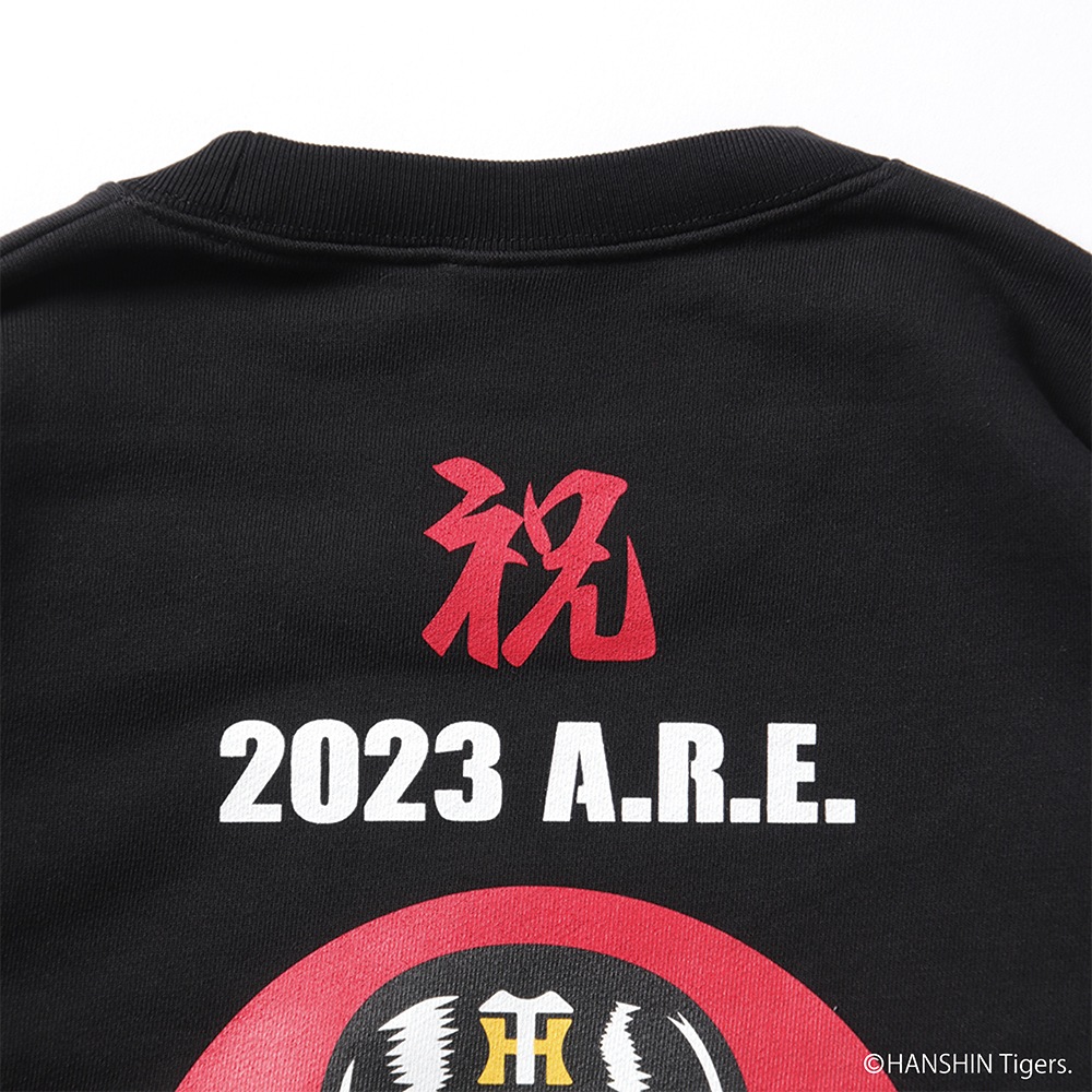 ��PDSx���������������2023ARE�ȥ졼�ʡ�