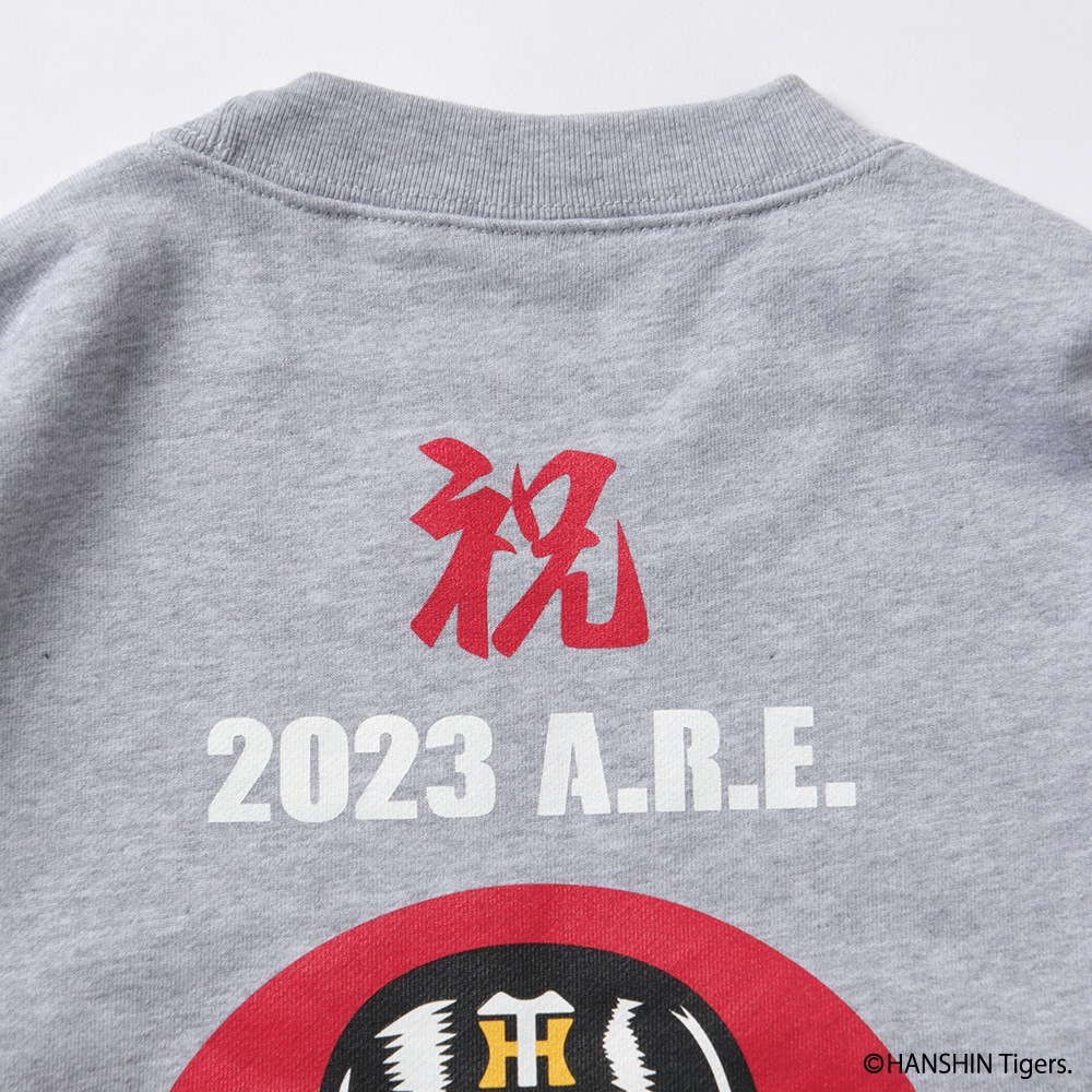 ��PDSx���������������2023ARE�ȥ졼�ʡ�