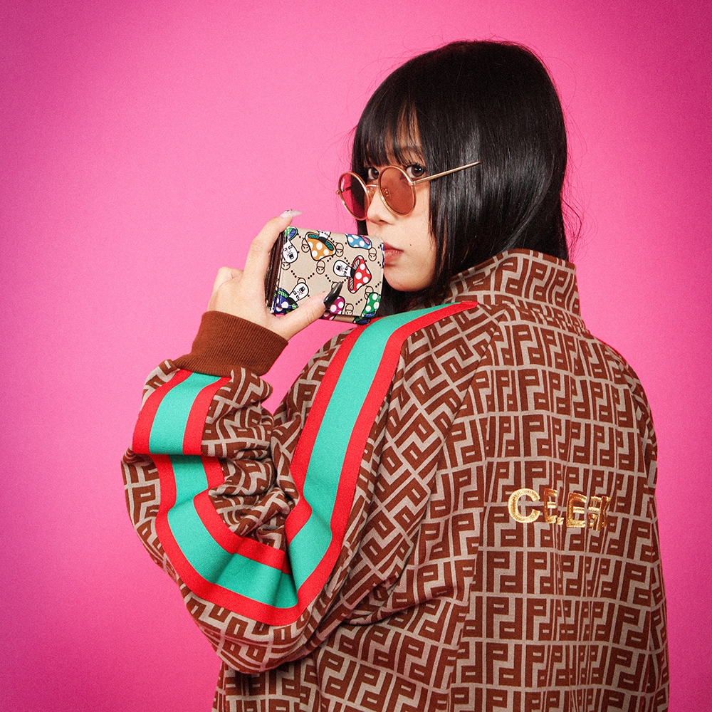 きのこ　1113 増補改訂新版 日本のきのこ (山溪カラー名鑑) | 今関六也・大谷吉雄