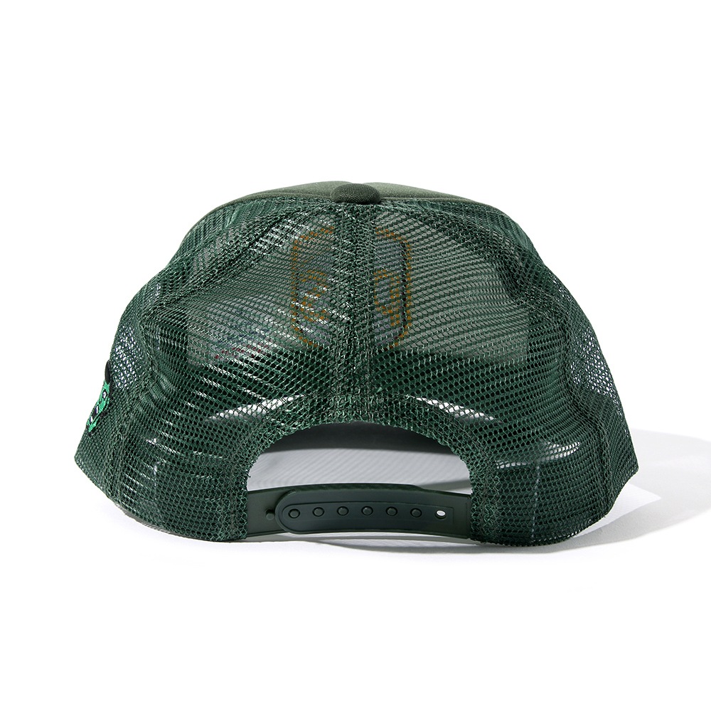 PDS����֥���å���CAP
