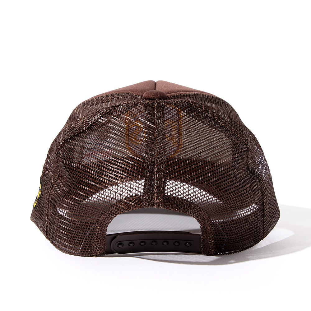 PDS����֥���å���CAP