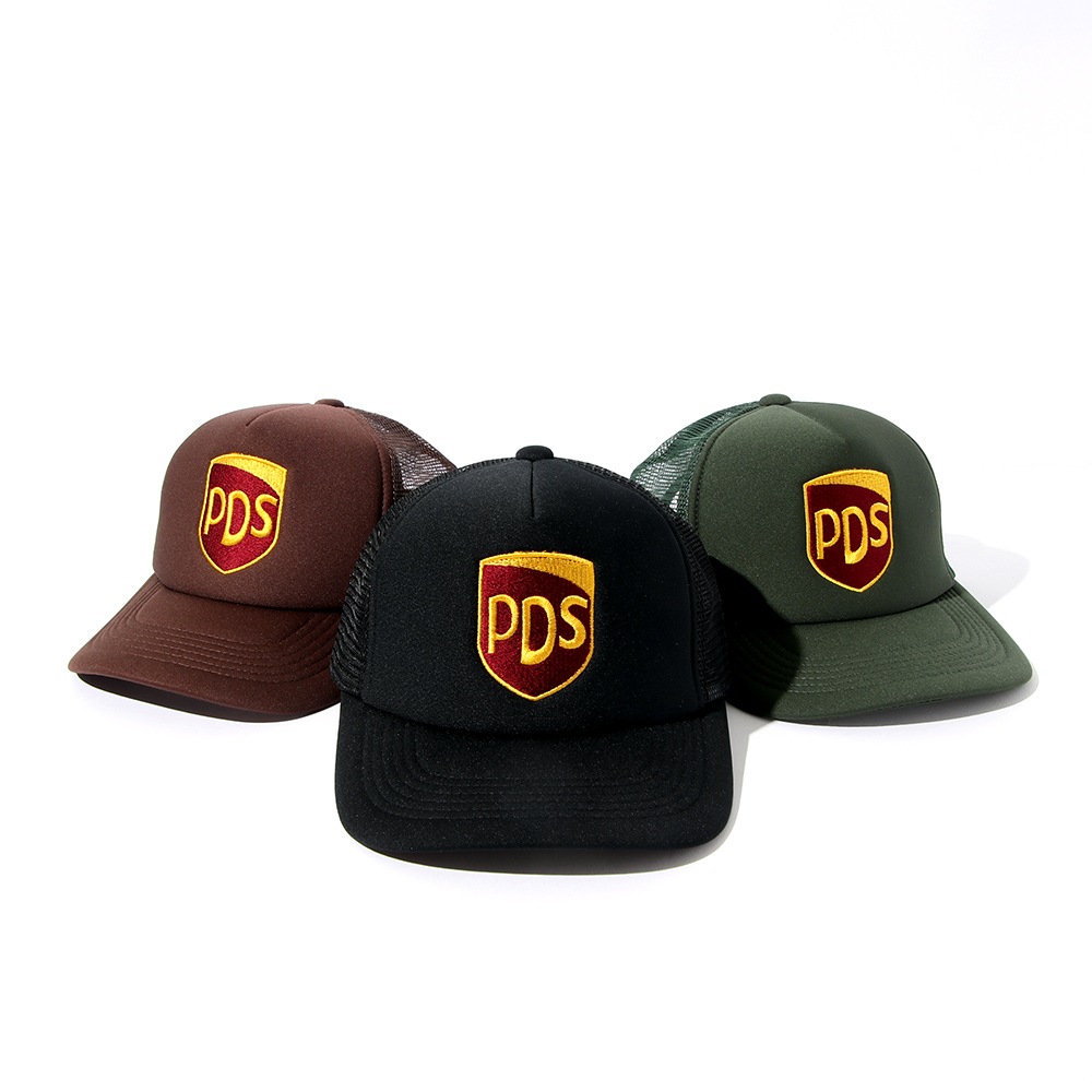 PDS����֥���å���CAP
