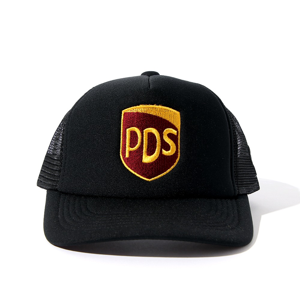 PDS����֥���å���CAP