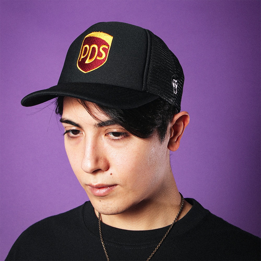 PDS����֥���å���CAP