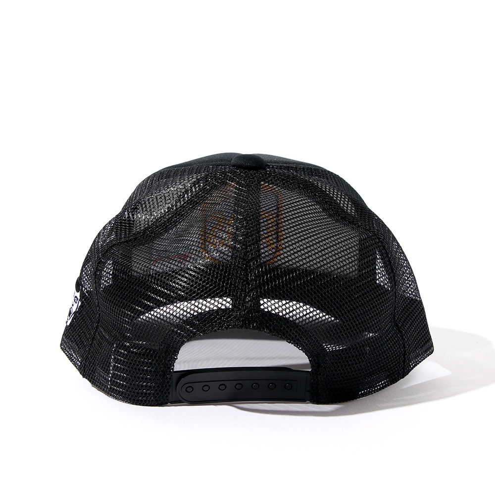 PDS����֥���å���CAP