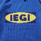 IEGI�ѡ���