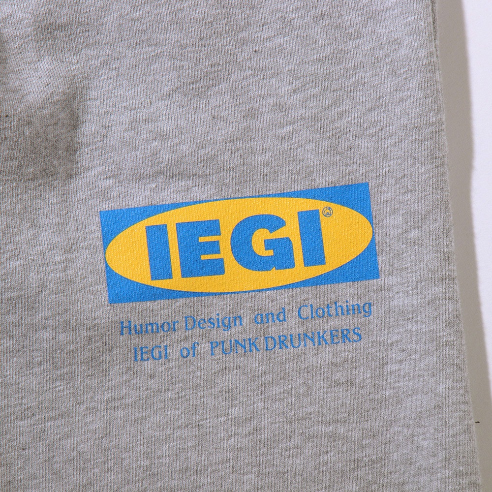 IEGI�������åȥѥ��